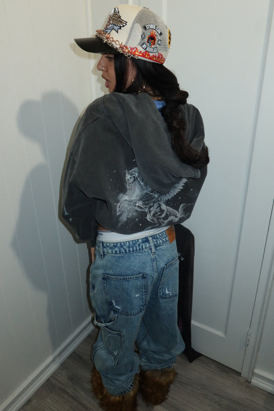 PEGASUS ZIP