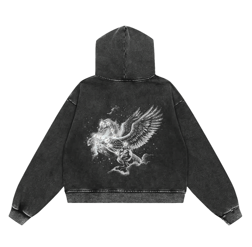 PEGASUS ZIP
