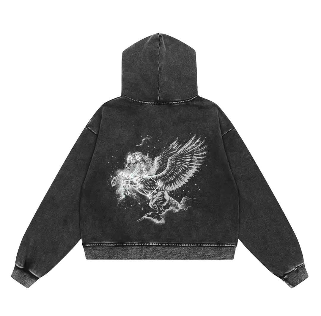 PEGASUS ZIP